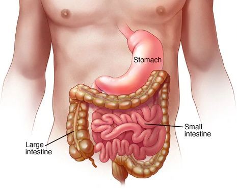 bệnh viêm dạ dày ruột virus là gì